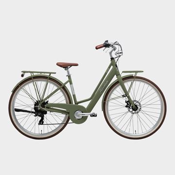 Picture of CICLI ADRIATICA E-RETRO LADY  GREEN